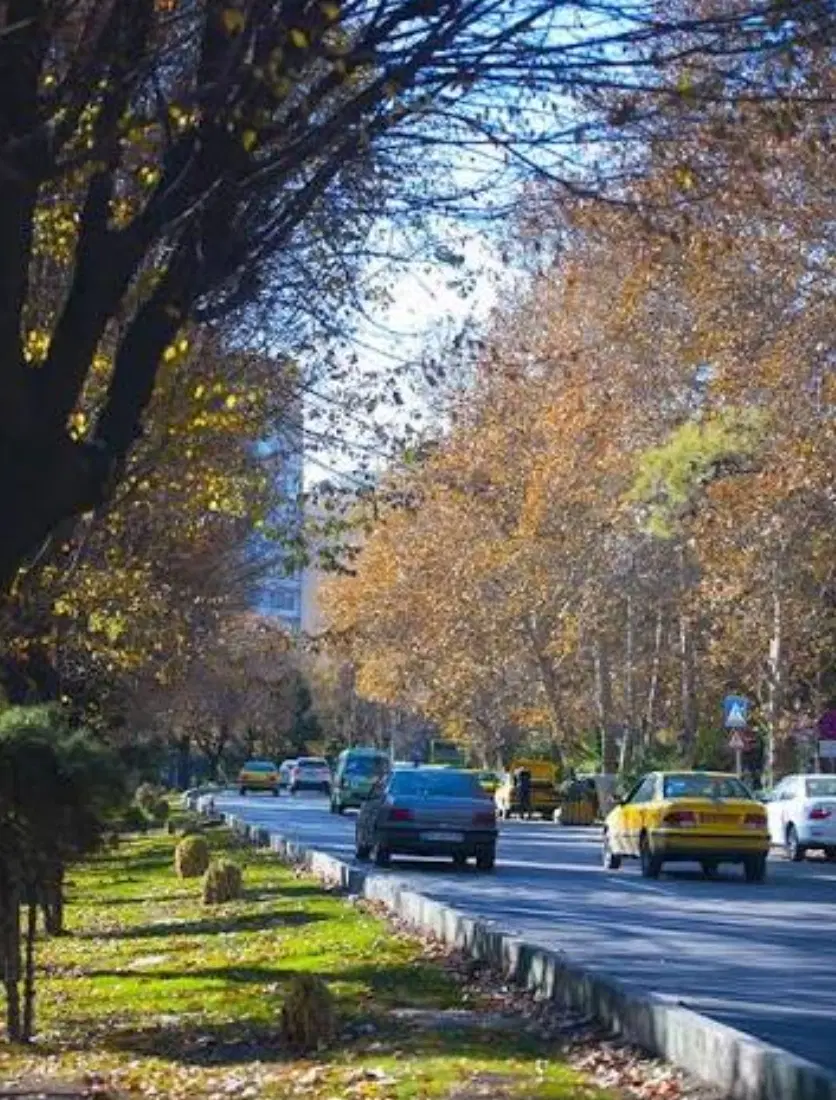زمین بر بلوار صیاد