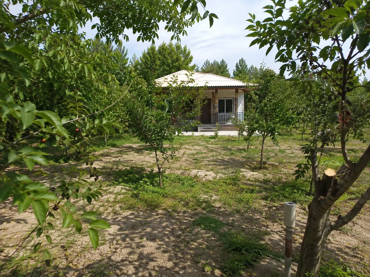 باغ ویلا