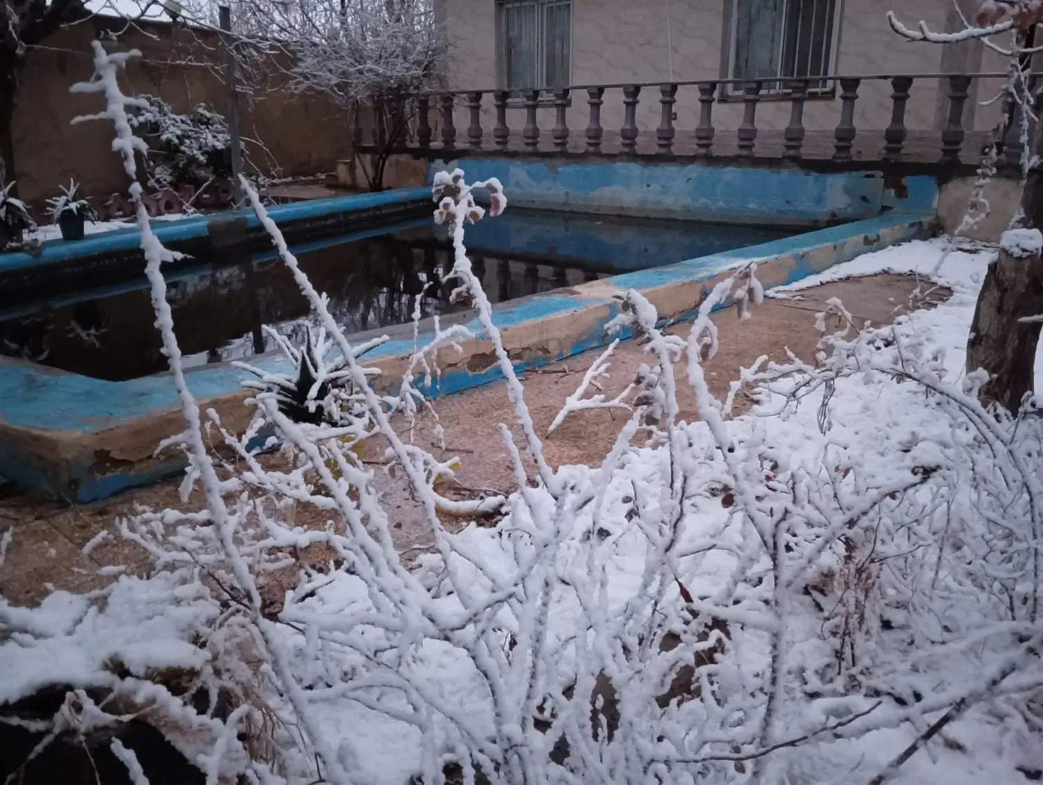 باغ ویلا