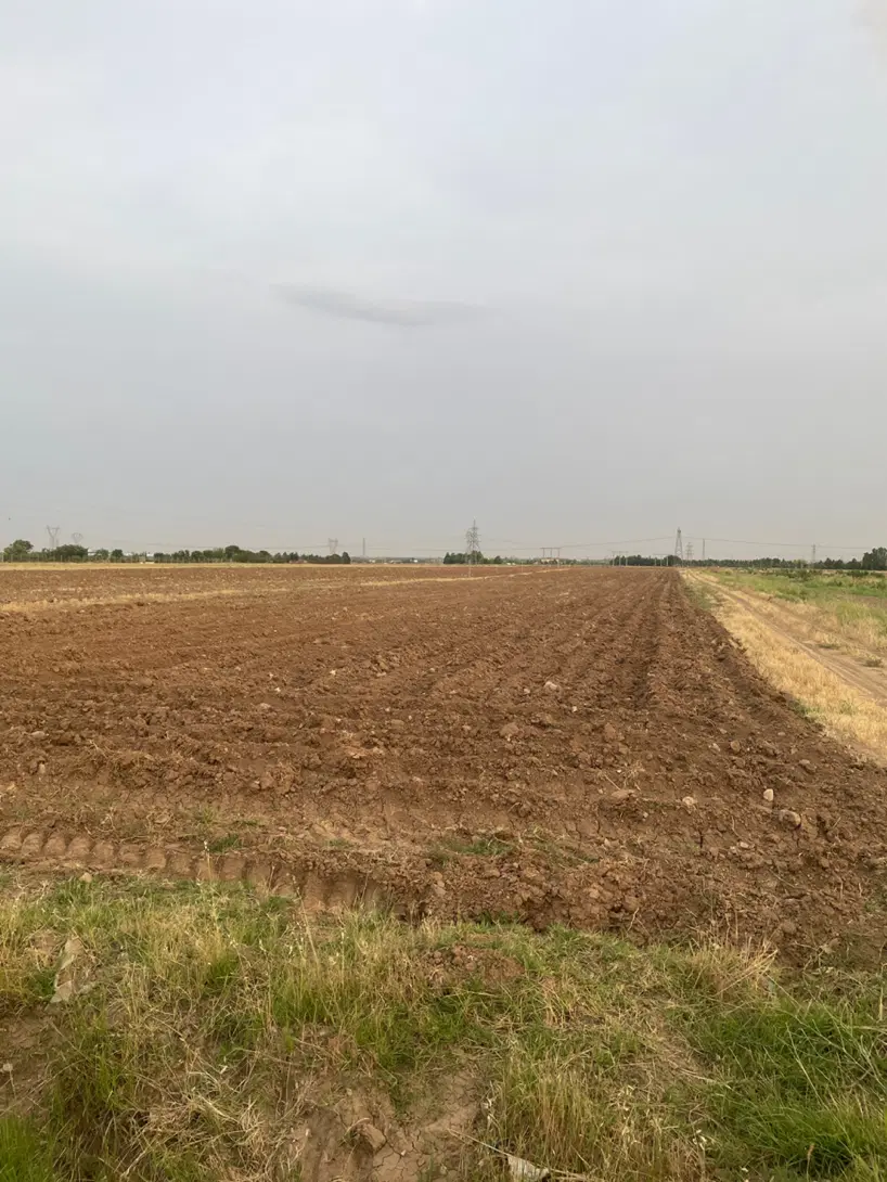 زمین باغی نزدیک بافه