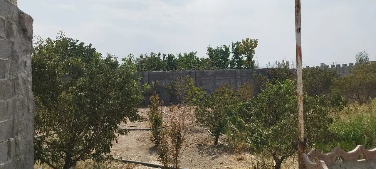 باغ داخل مجموعه باغی