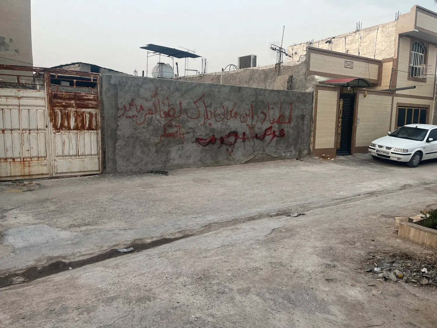 زمین سند تک برگ
