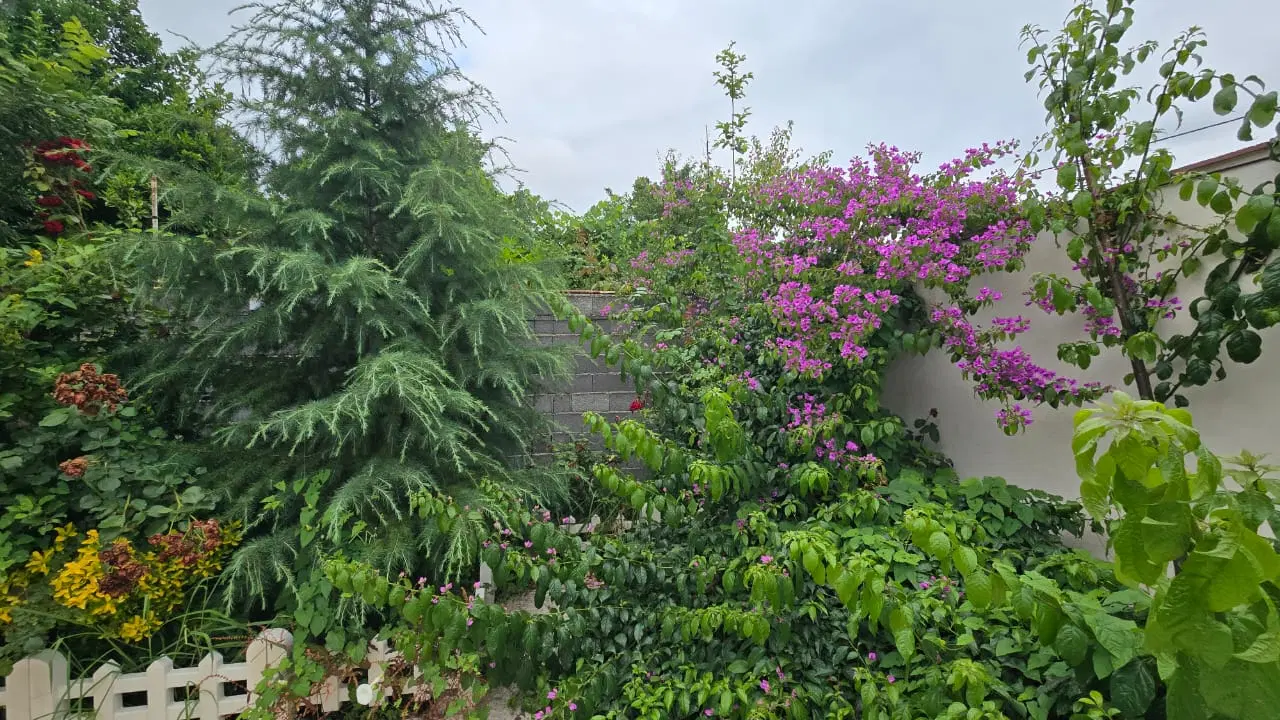 ویلا سرسبز اطراف کوچصفهان