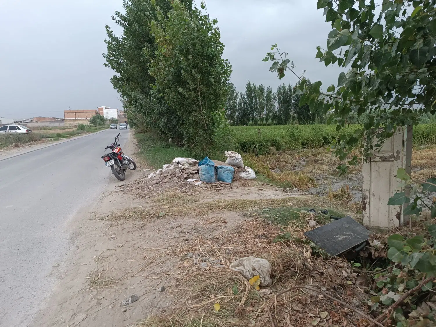 زمین