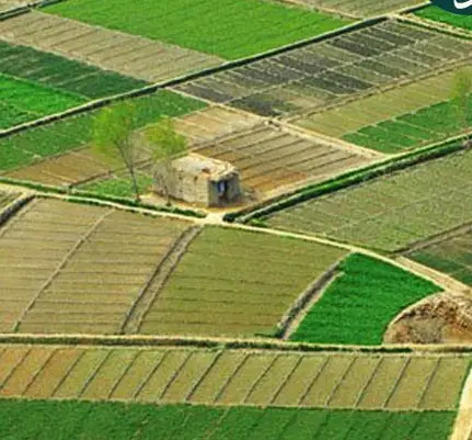 زمین