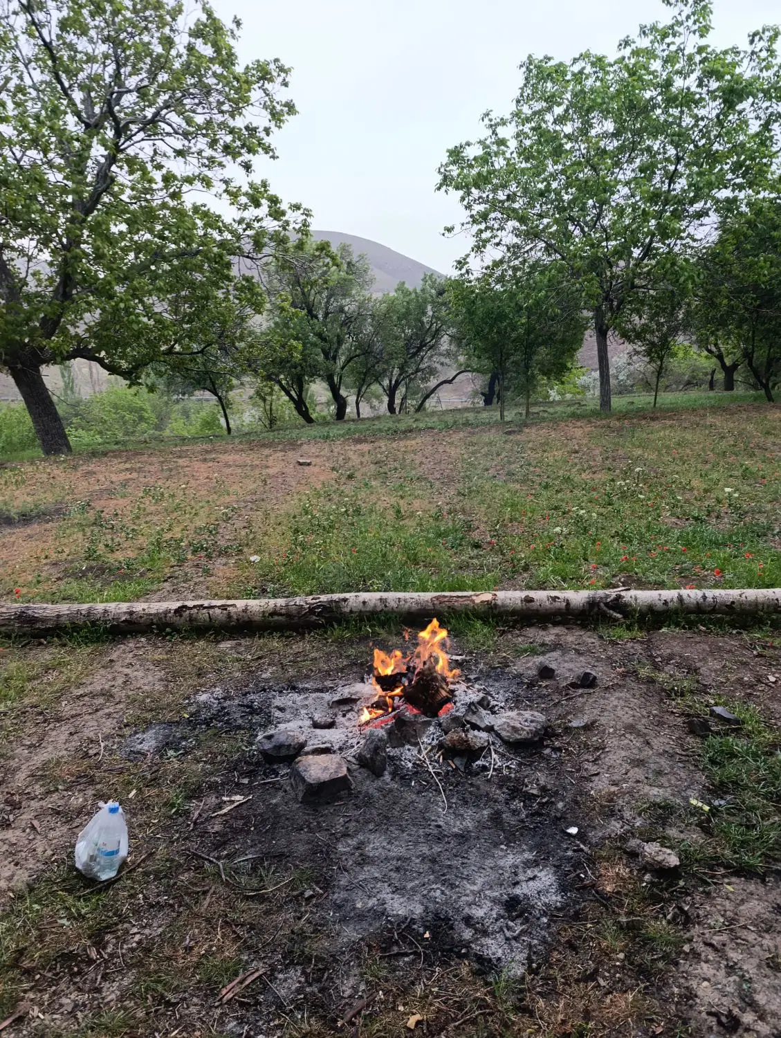 زمین چهار فرزندی قنوات