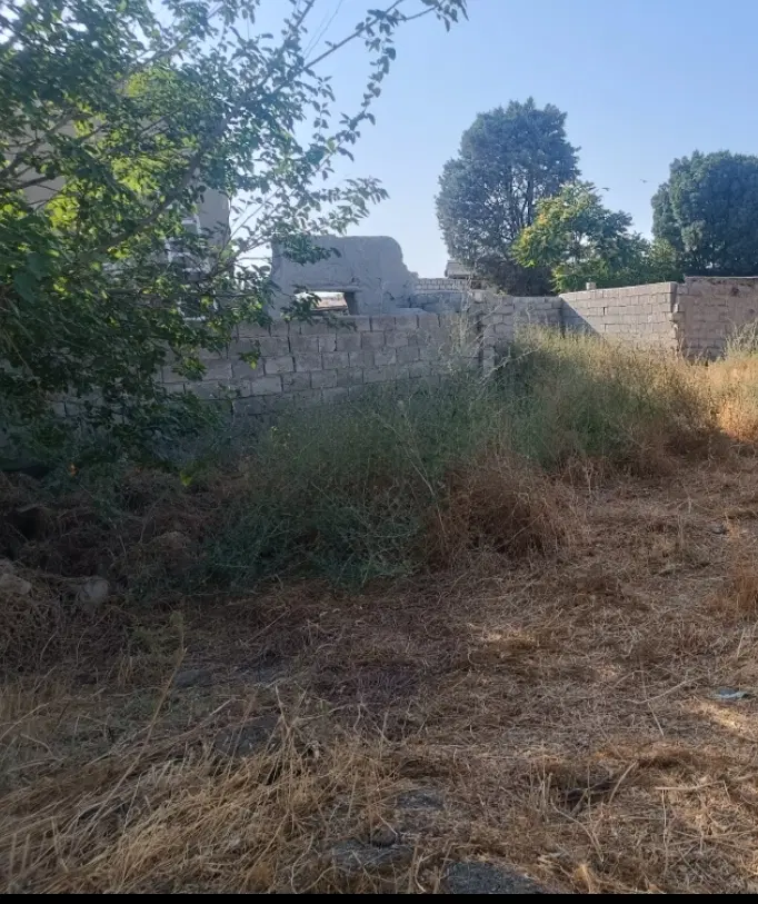 زمین روستای طلاتپه