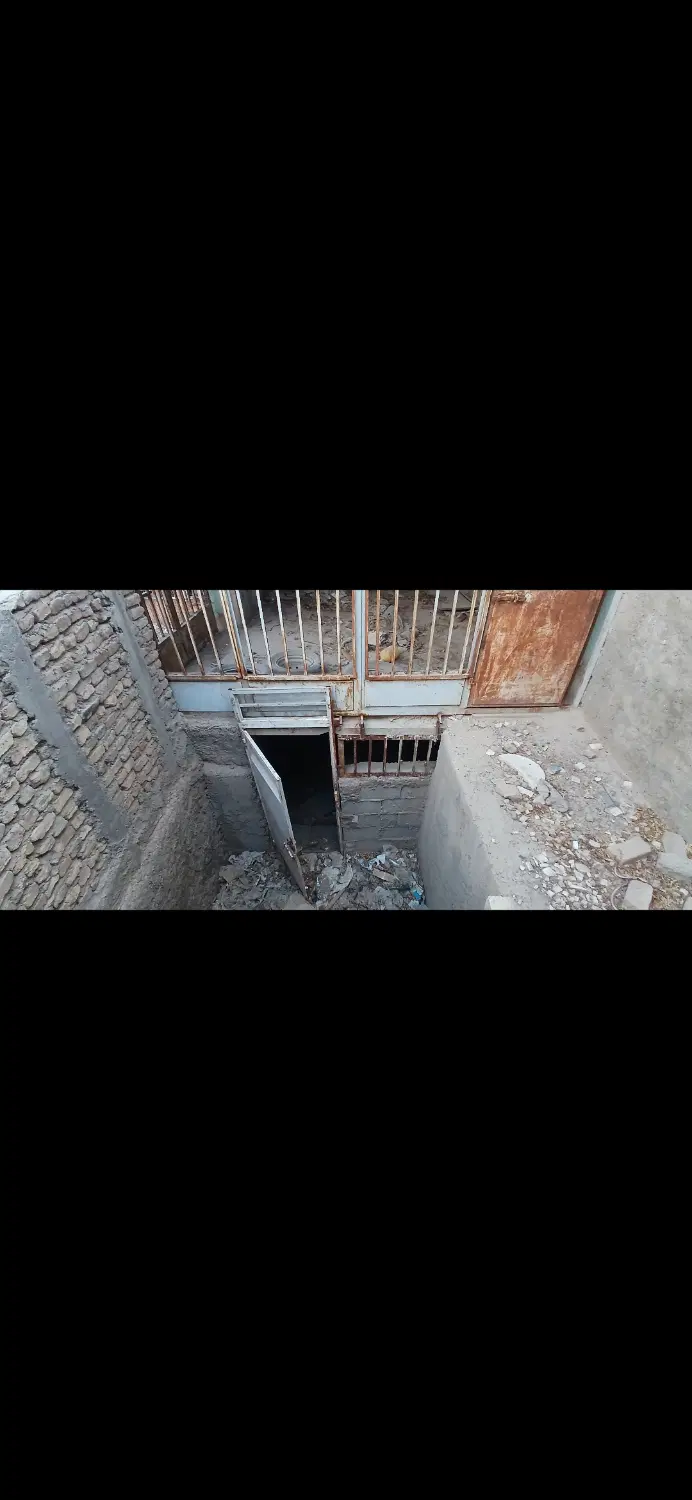 فروش کلنگی