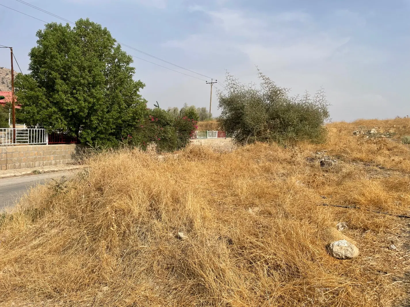 فروش زمین