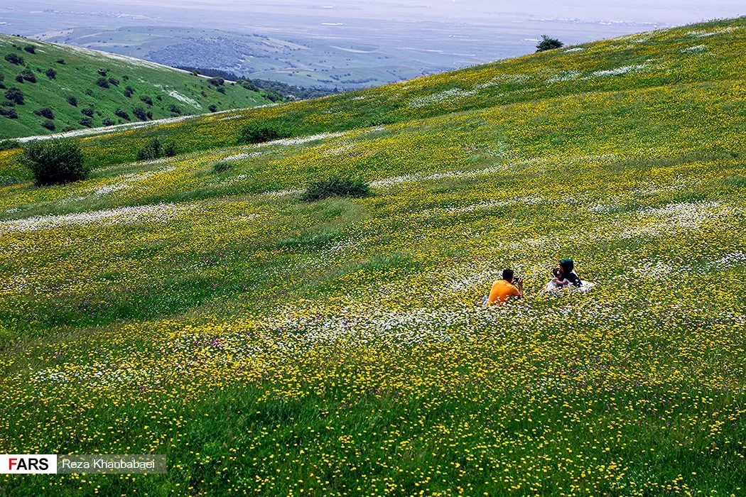 زمین برای سرمایه گذاری