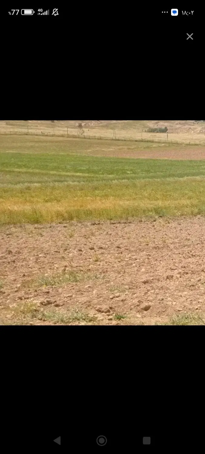 ۵۰متر زمین قبر بهرامی