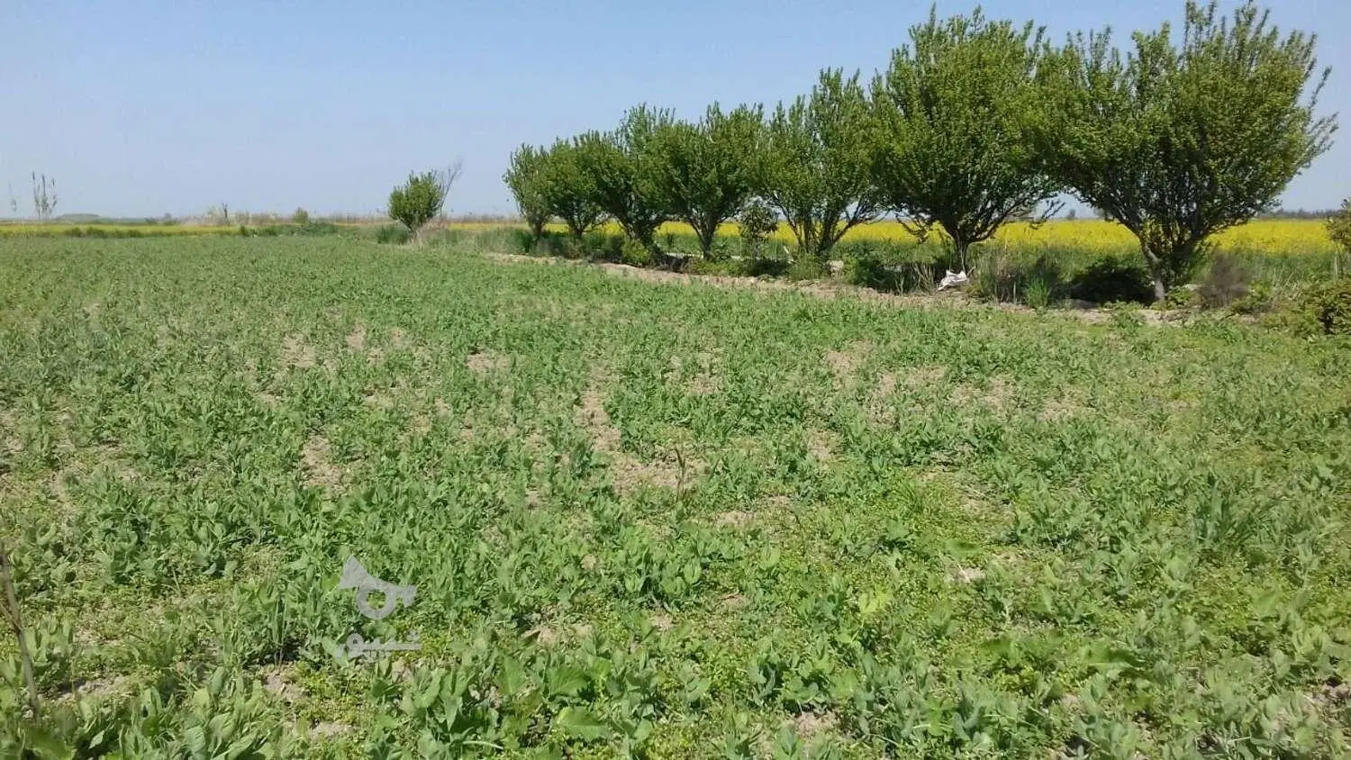 زمین باغی 130متری 10کیلومتری گرگان  قیمت پراید