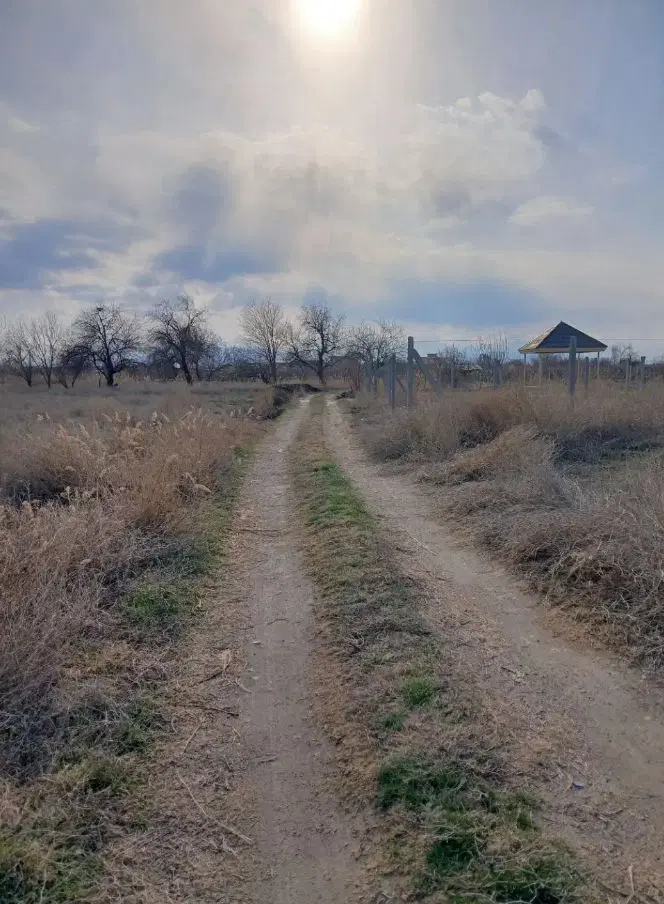 زمین زراعی یوالار کشتیبان