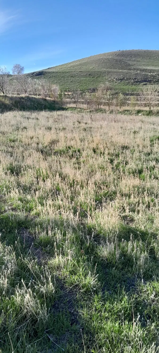 زمین برای فروش