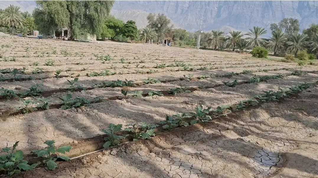 فروش چاه کشاورزی