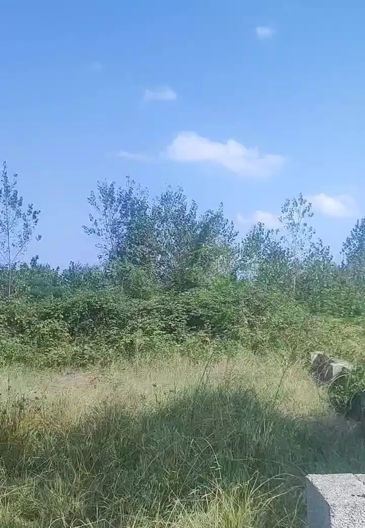 ۲۰۰متری دنج مسکونی سند تک برگ
