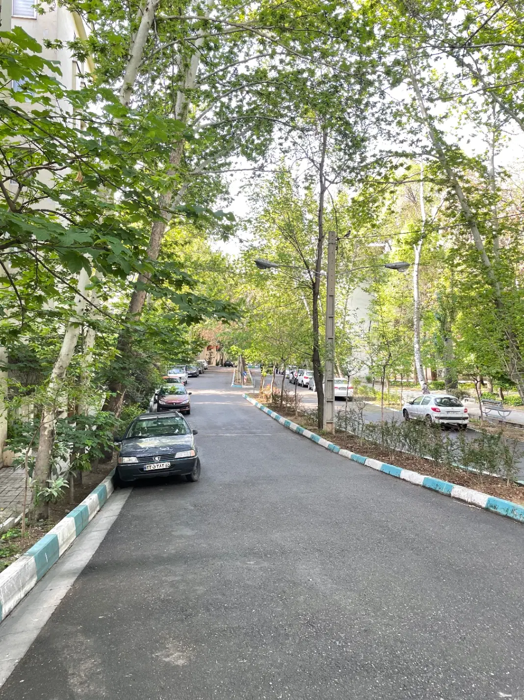 ۸۰ متری یک خوابه