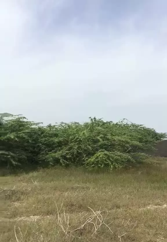 مشارکت به شرط تملیک - زمین در میناب واقع است