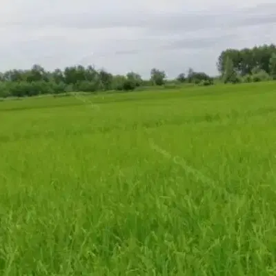 زمین 144متری کرناچی