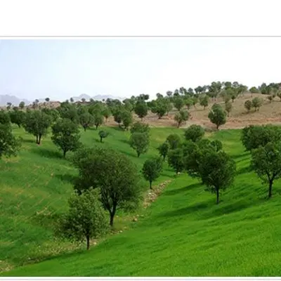 ۲۰۰۰ متر