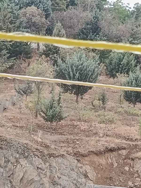 زمین تجاری مسکونی