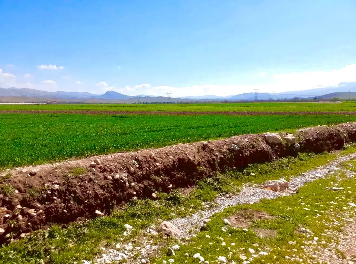 ۱۴۳۵۷ متر زمین کشاورزی سند تک‌برگ