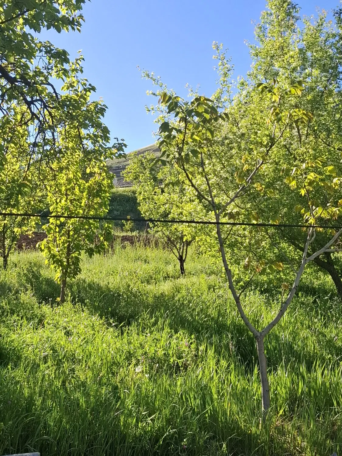 فروش زمین دوشان