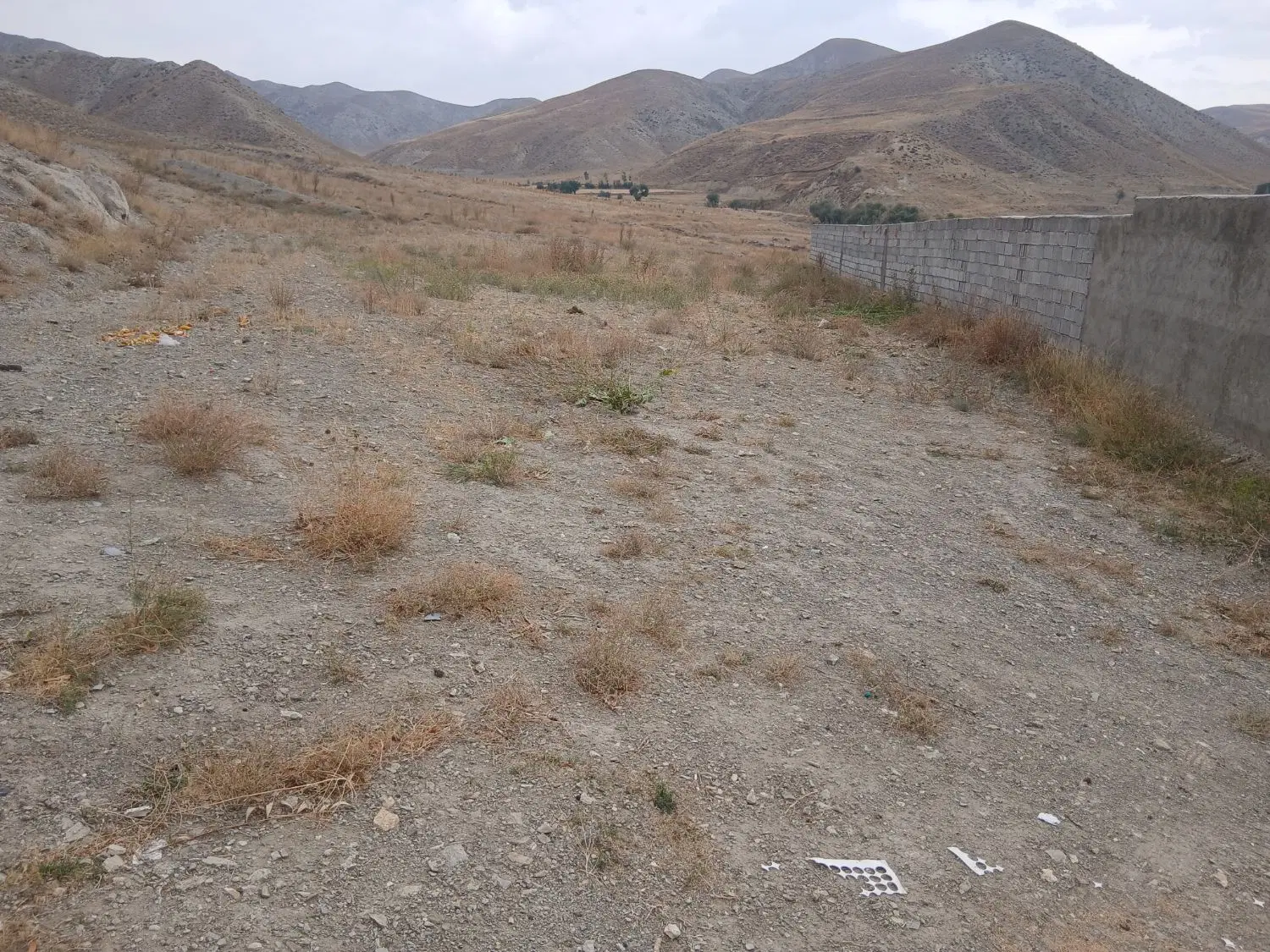 زمین ویلایی سعیدابادشیبلی