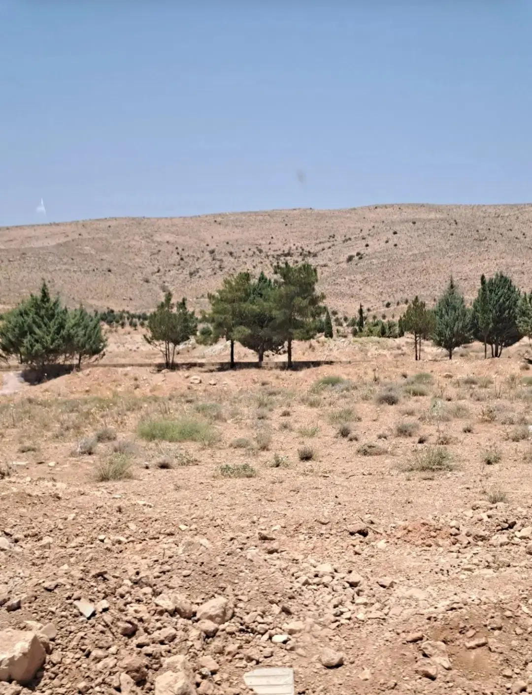 زمین فاز دو نیاوران قصرسبز منابع طبیعی