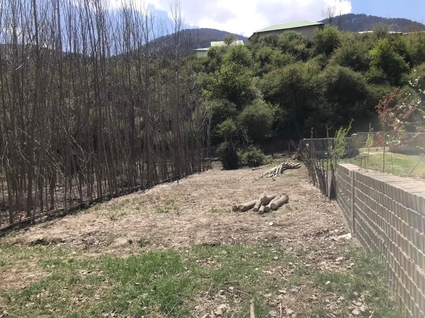 زمین ییلاقی ،نوشهر،منطقه کجور، روستای بین،۳۶۰ متری