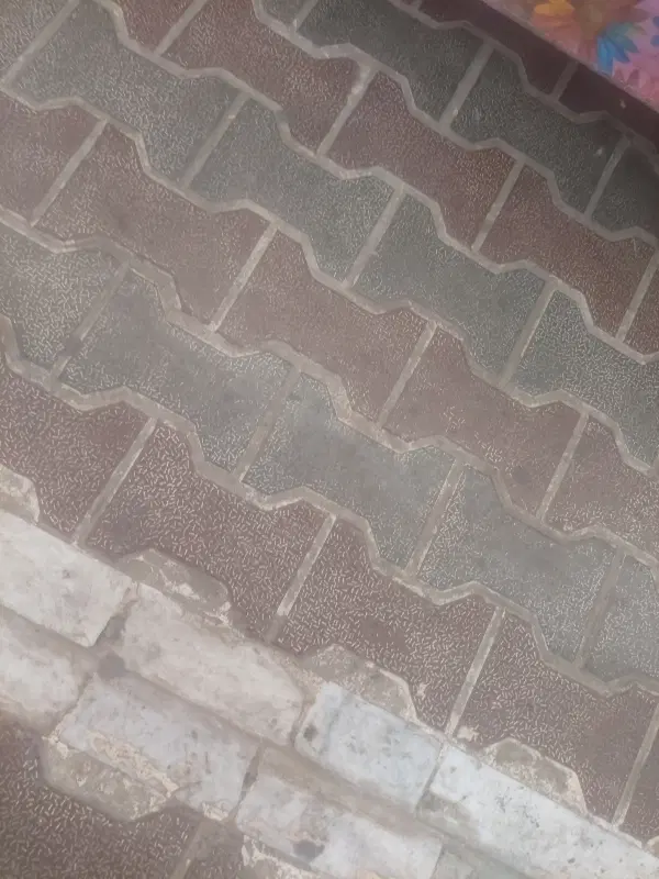 زمین موسوی