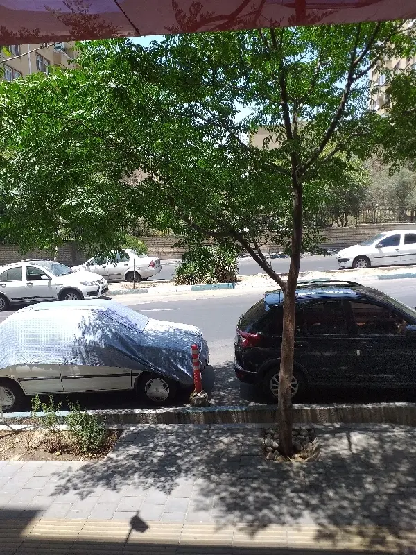 واحد ۶۱ دو خواب بوستانهای جنوبی فول