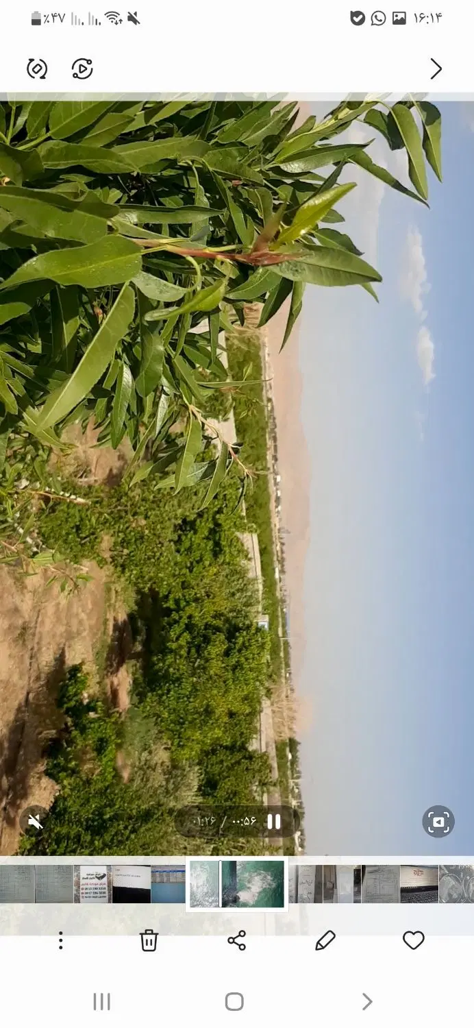 فروش باغ