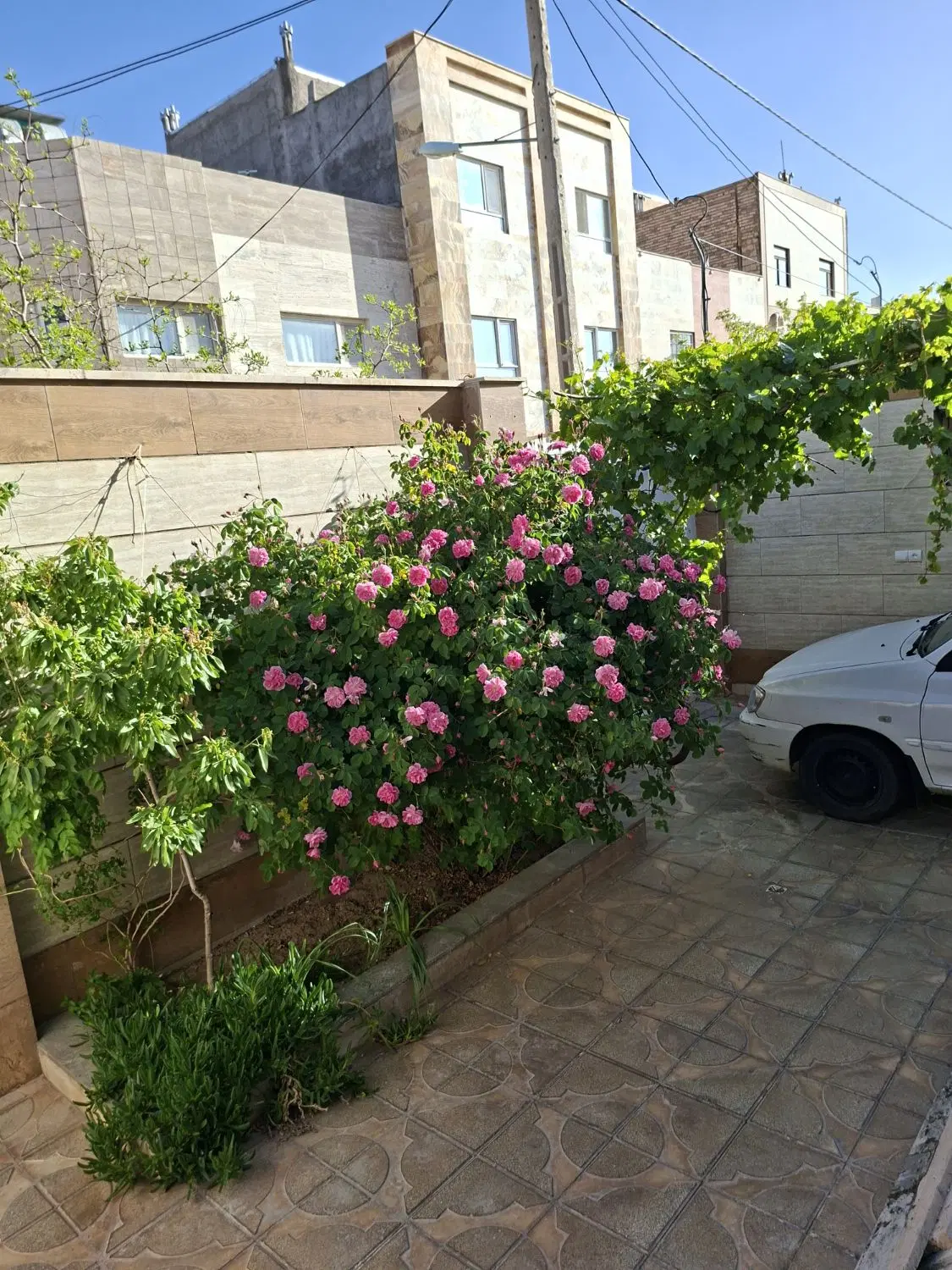 خواهان اپارتمان