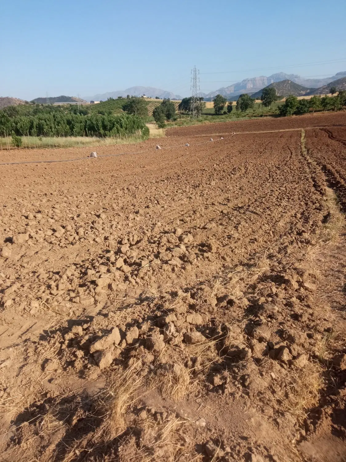 زمین کشاورزی فروش فوری