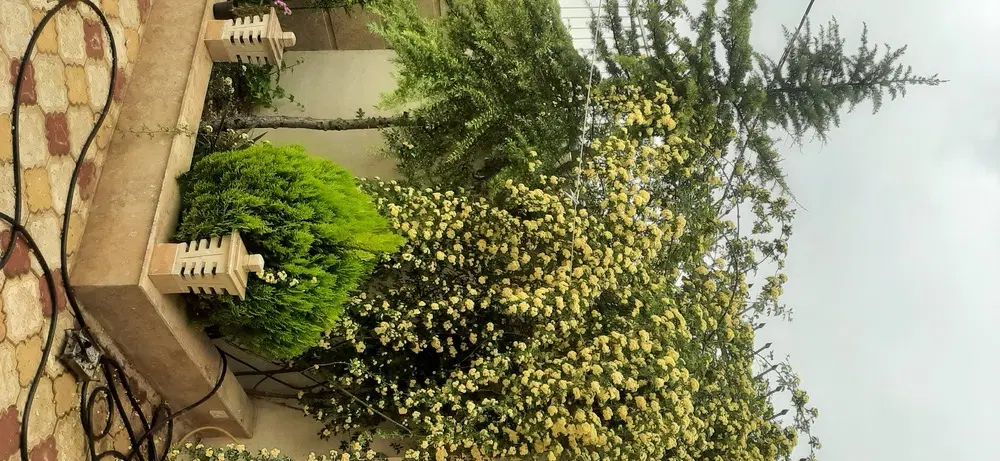 خانه ویلای سقرچین