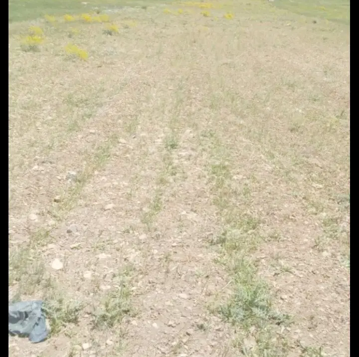 زمین  آبی باحق آبه چشمه هر هفته