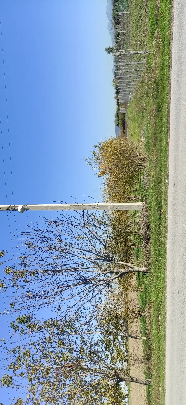 زمین خانه باغی در خط اصلی نزدیک روستای سدن