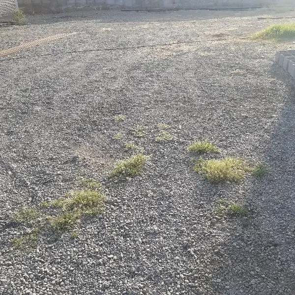 فروش ۲۵۴مترزمین(۱۰قصب)اختیارآباد