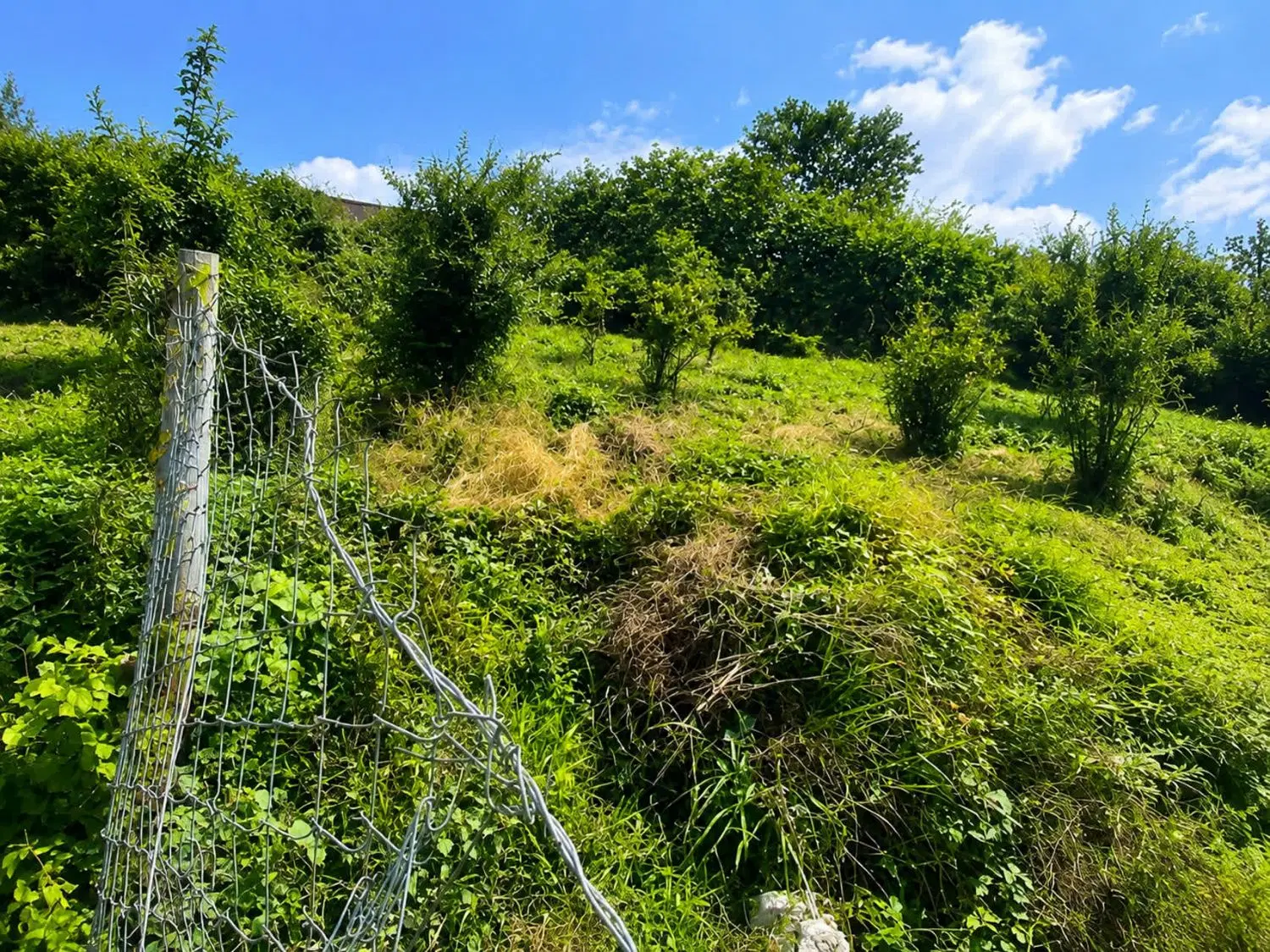 فروش زمین