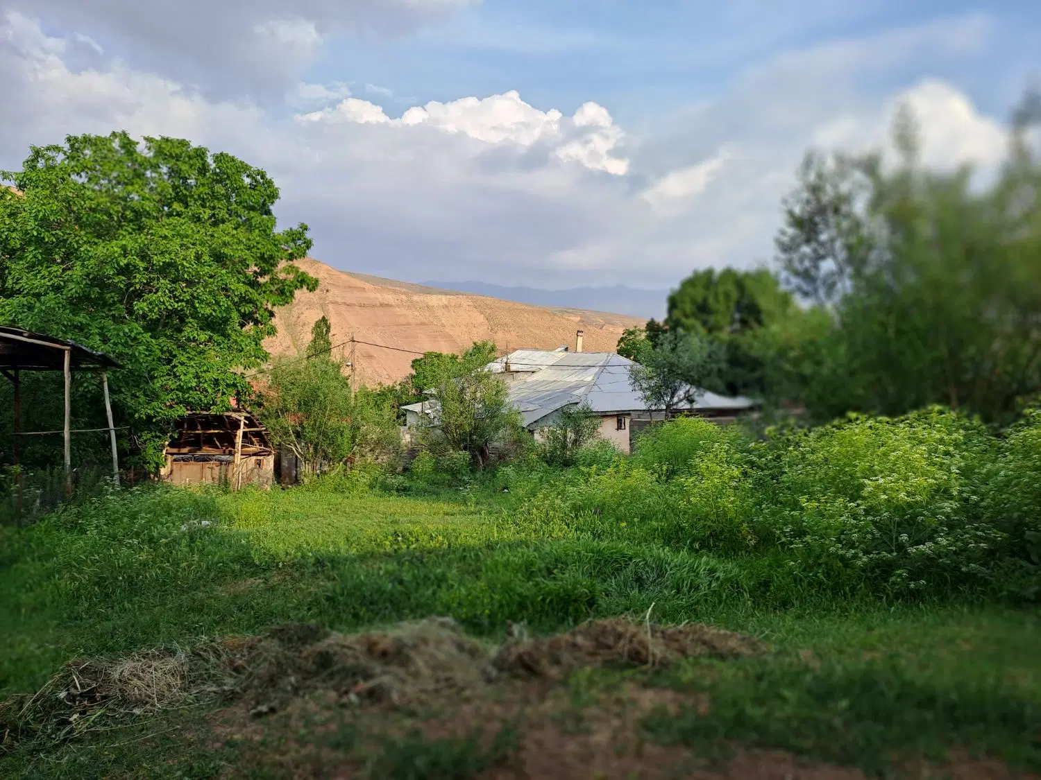 زمین  طالقان