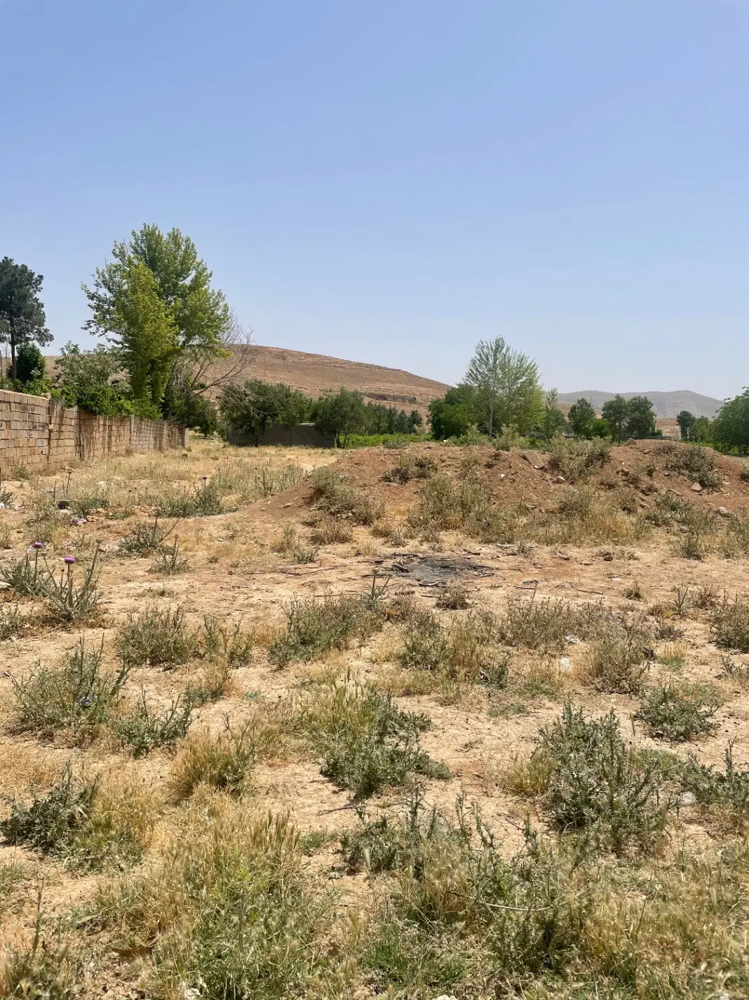 فروش تعدادی زمین در قصر قمشه بلوار عزفان