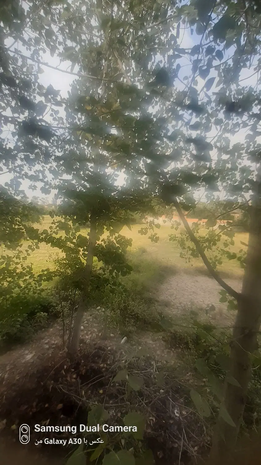 زمین روستای کماسی