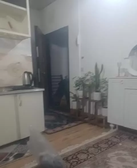 اقدسیه ۱۰