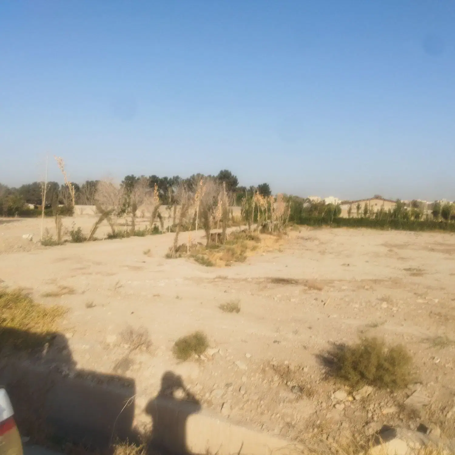 زمین ثناجو موقعیت سرمایه گذاری