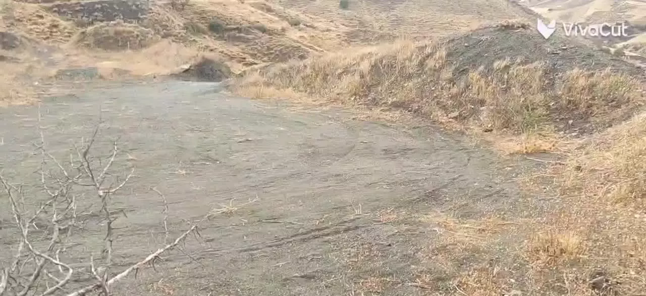 باغ،زمین کشاورزی