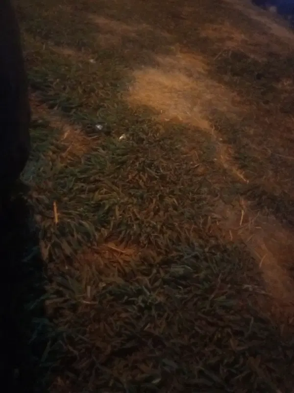 زمین تجاری مادوان سر جاده اصفهان