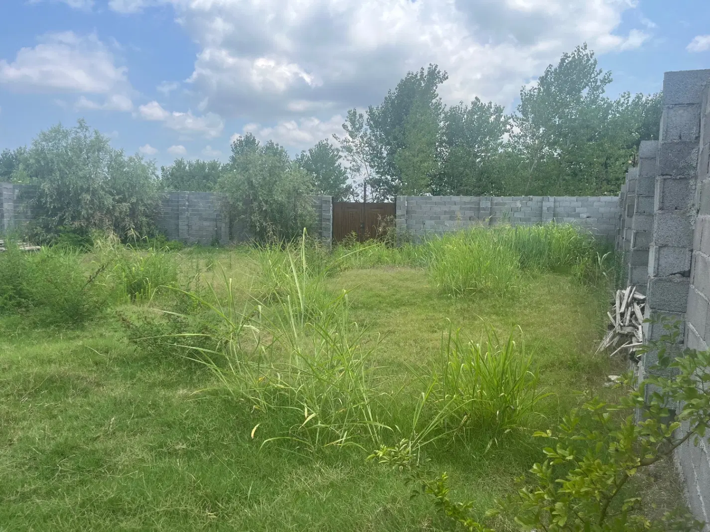فروش زمین در روستای المان رشت