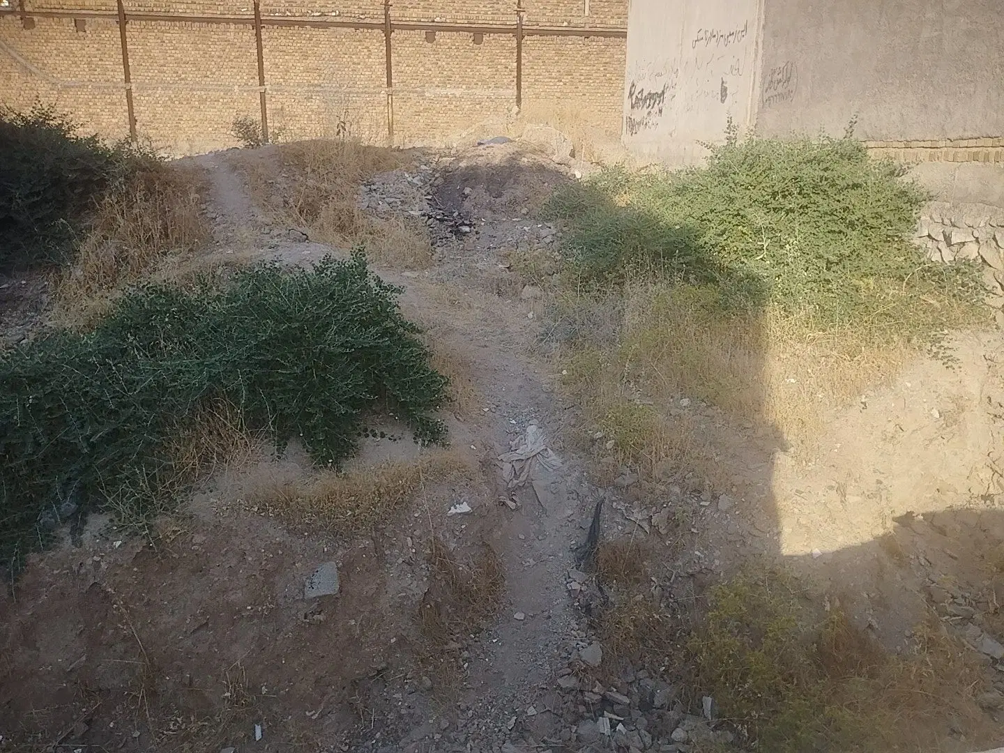 زمین کرگانه