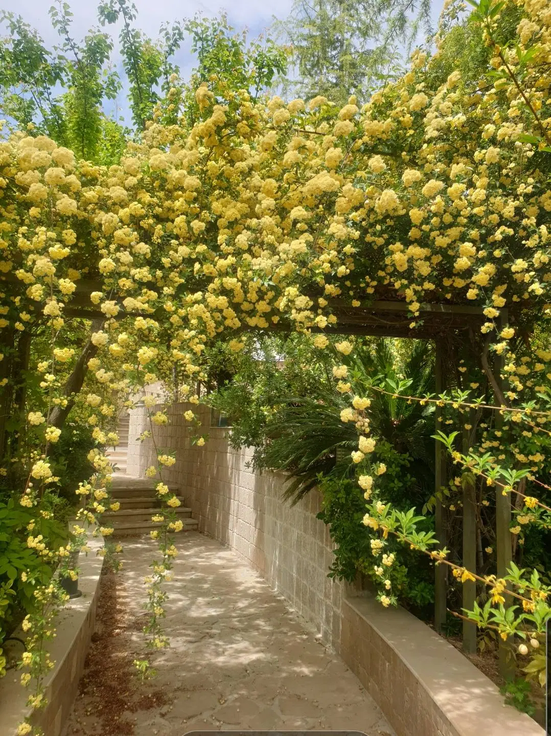 ویلایی ۱۴۷متر